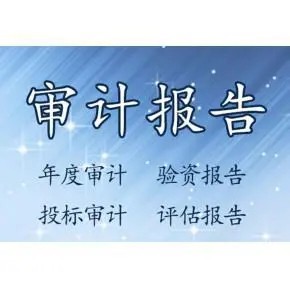财政补贴资金专项审计报告