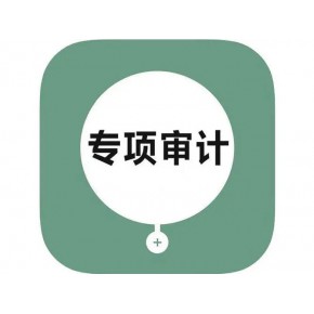 财政补贴资金专项上海审计报告
